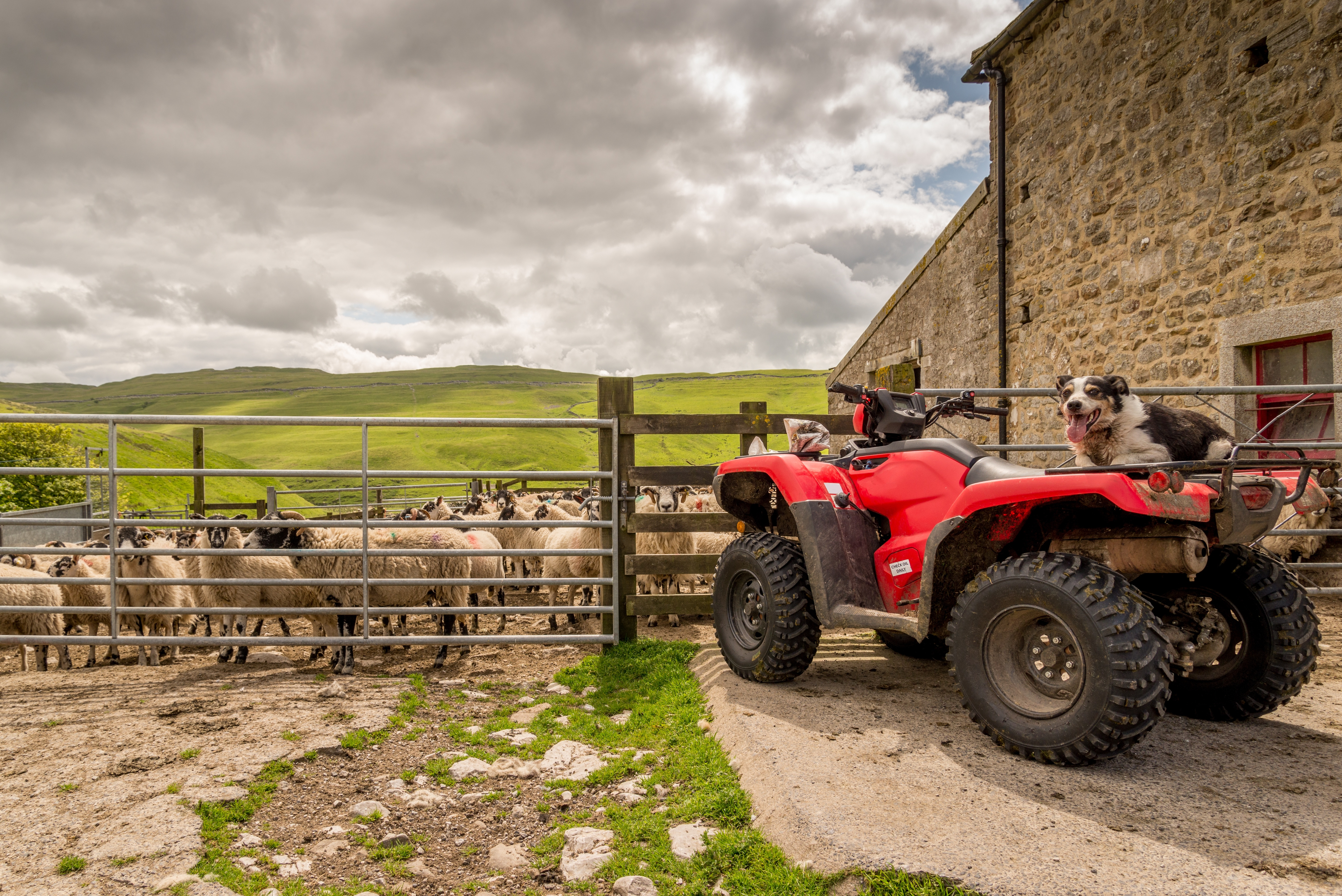 High compliance for new quadbike laws