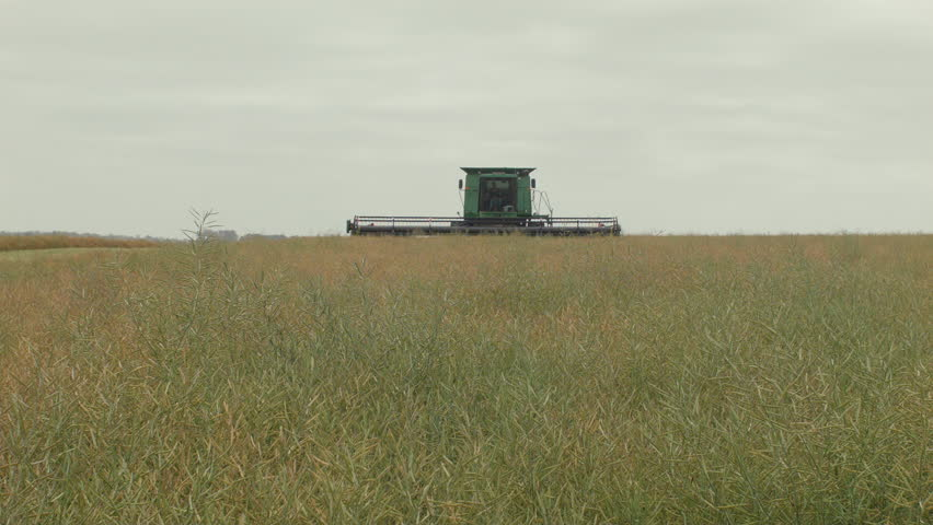 A promising harvest for the rice sector
