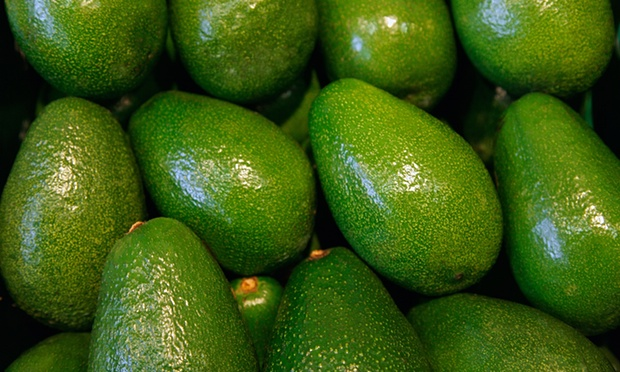 The Aussie cricketer going into bat for avocados
