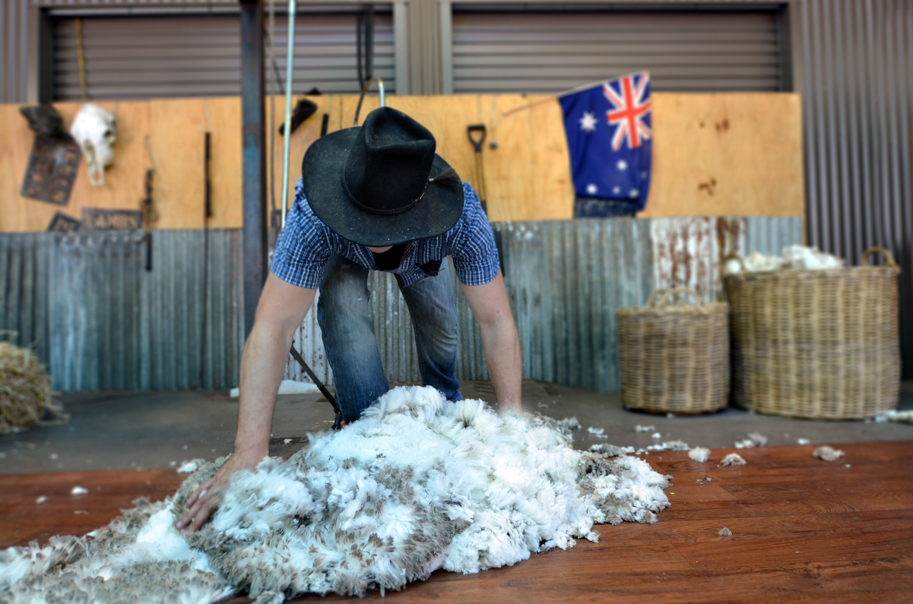 Wool growers vote to reduce levy