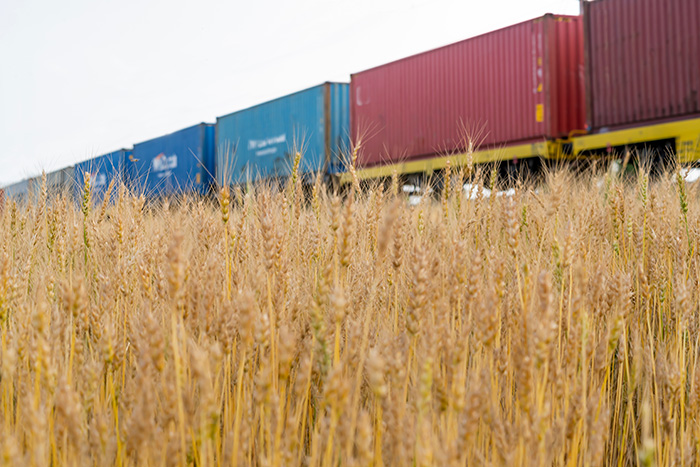 Exporters and producers demand relief from "war-risk surcharges" episode artwork