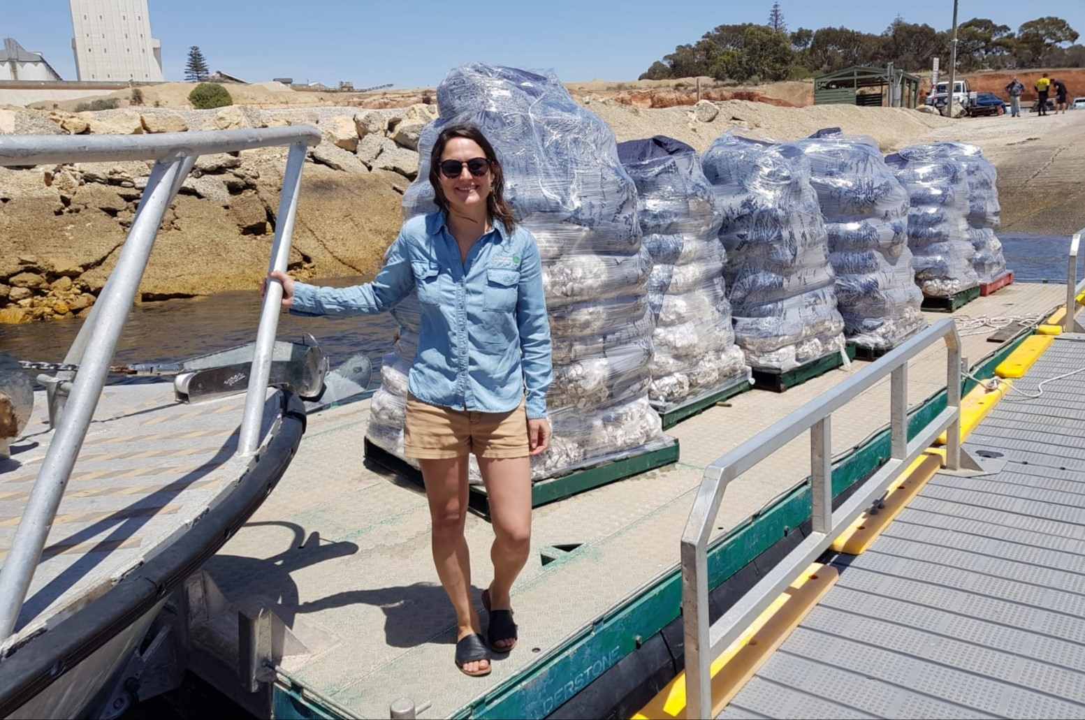 Oysters to improve reef quality