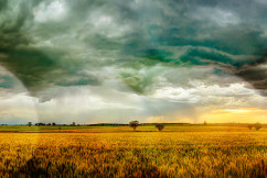 National Rural News October 21 2019