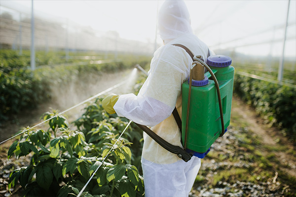 Farm chemicals regulator imposes significant restrictions on the use of controversial herbicide episode artwork