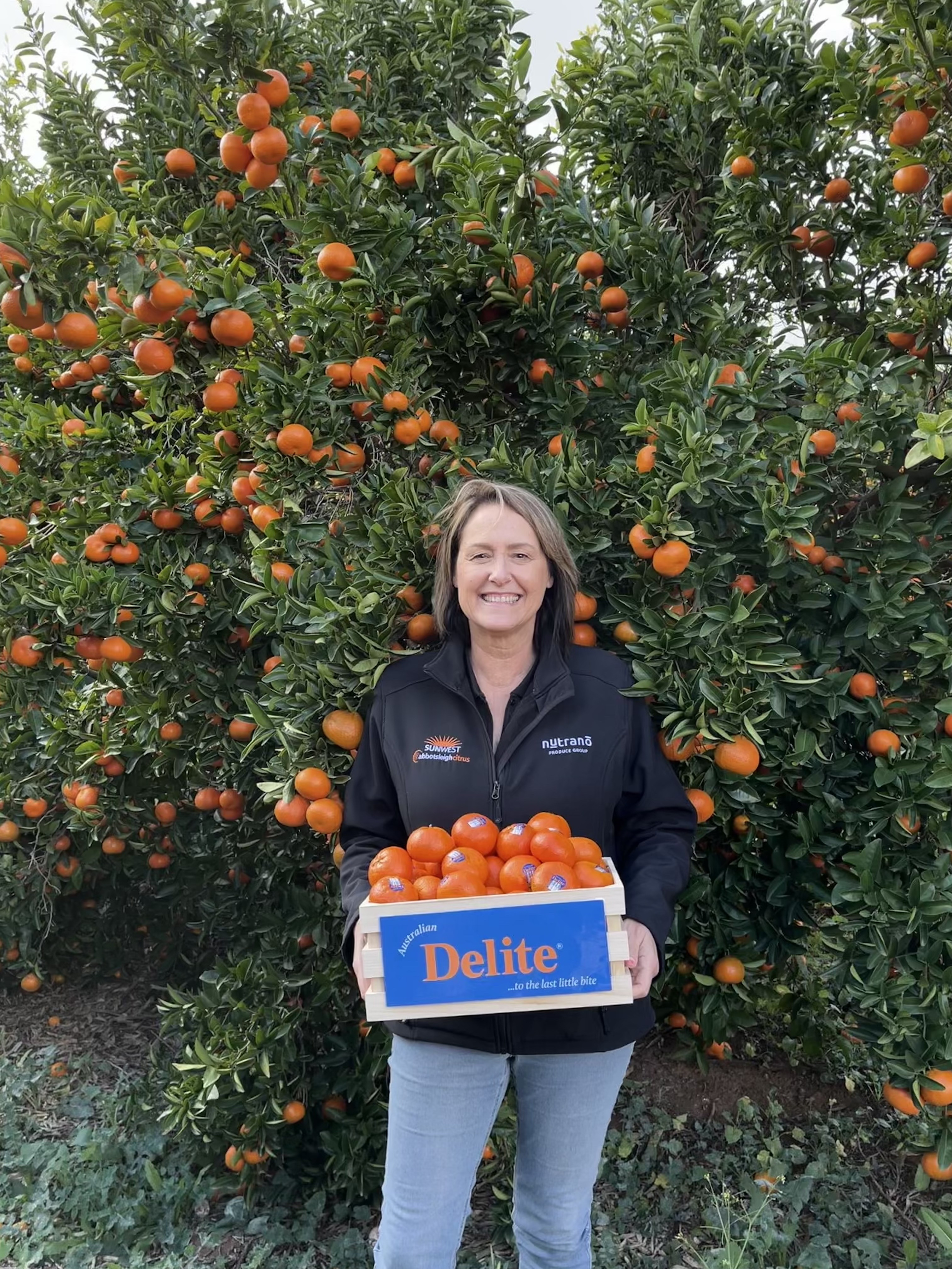 Flood-affected citrus growers begin damage control