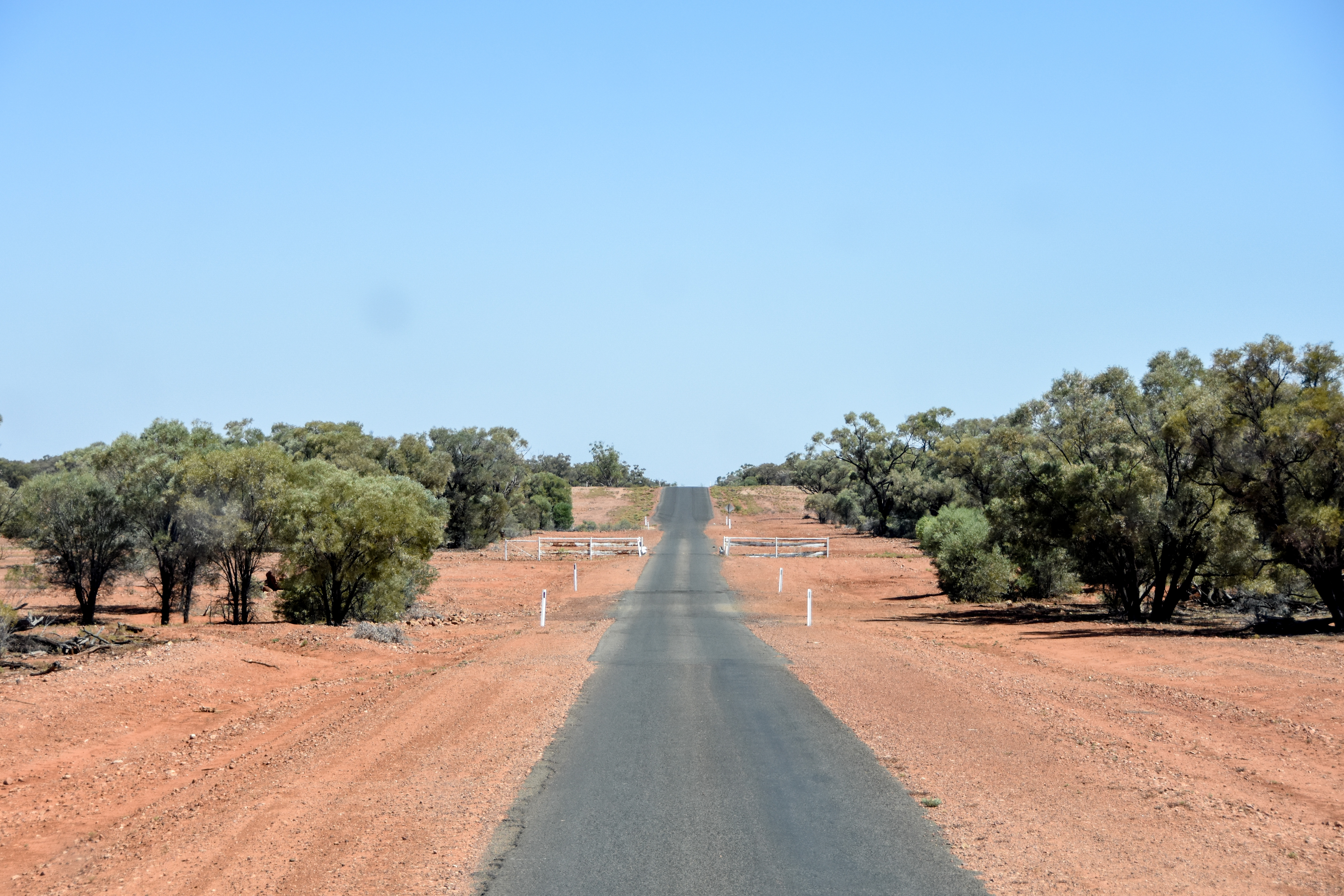 Season described as a disaster by farmers