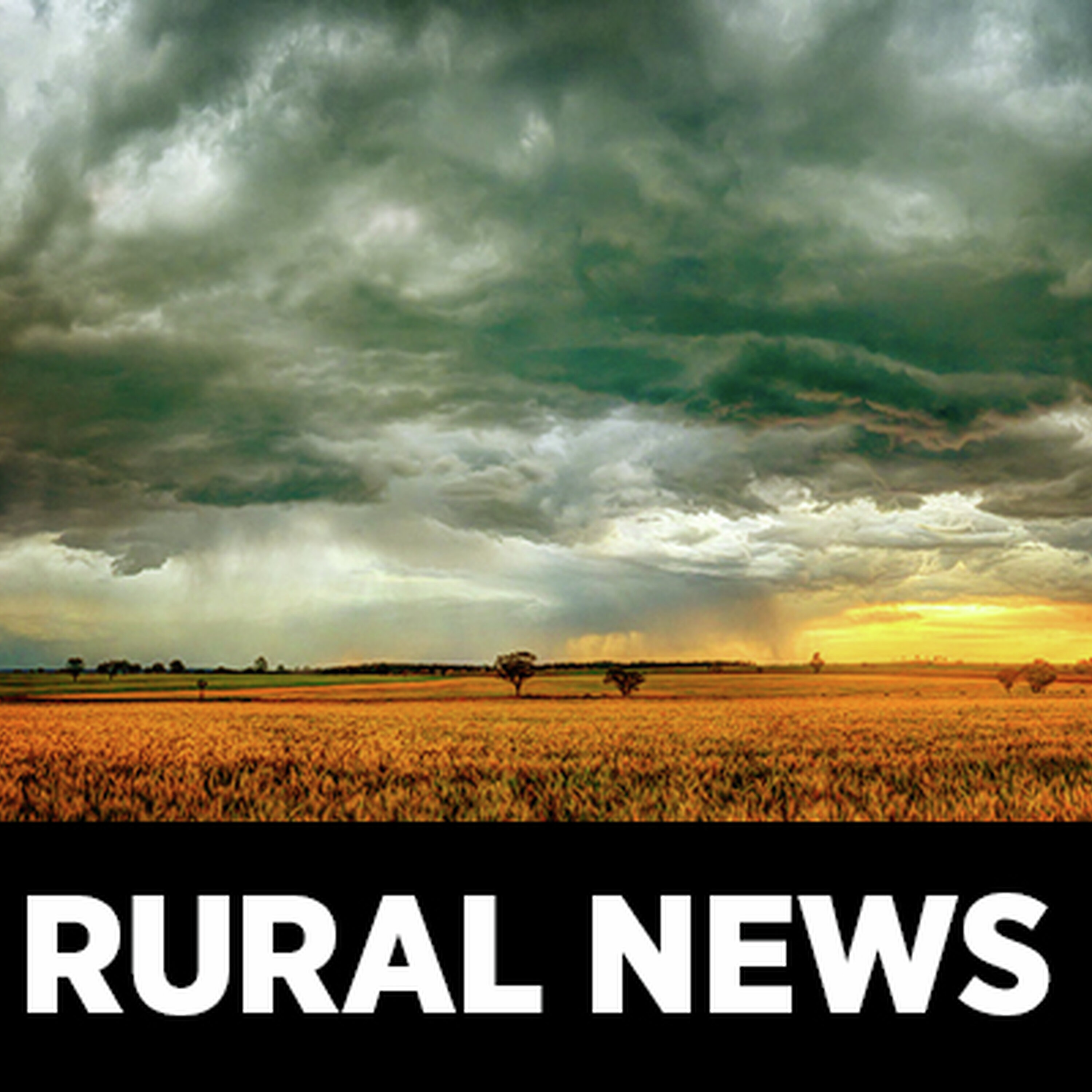 National Rural News Monday July 20 episode artwork