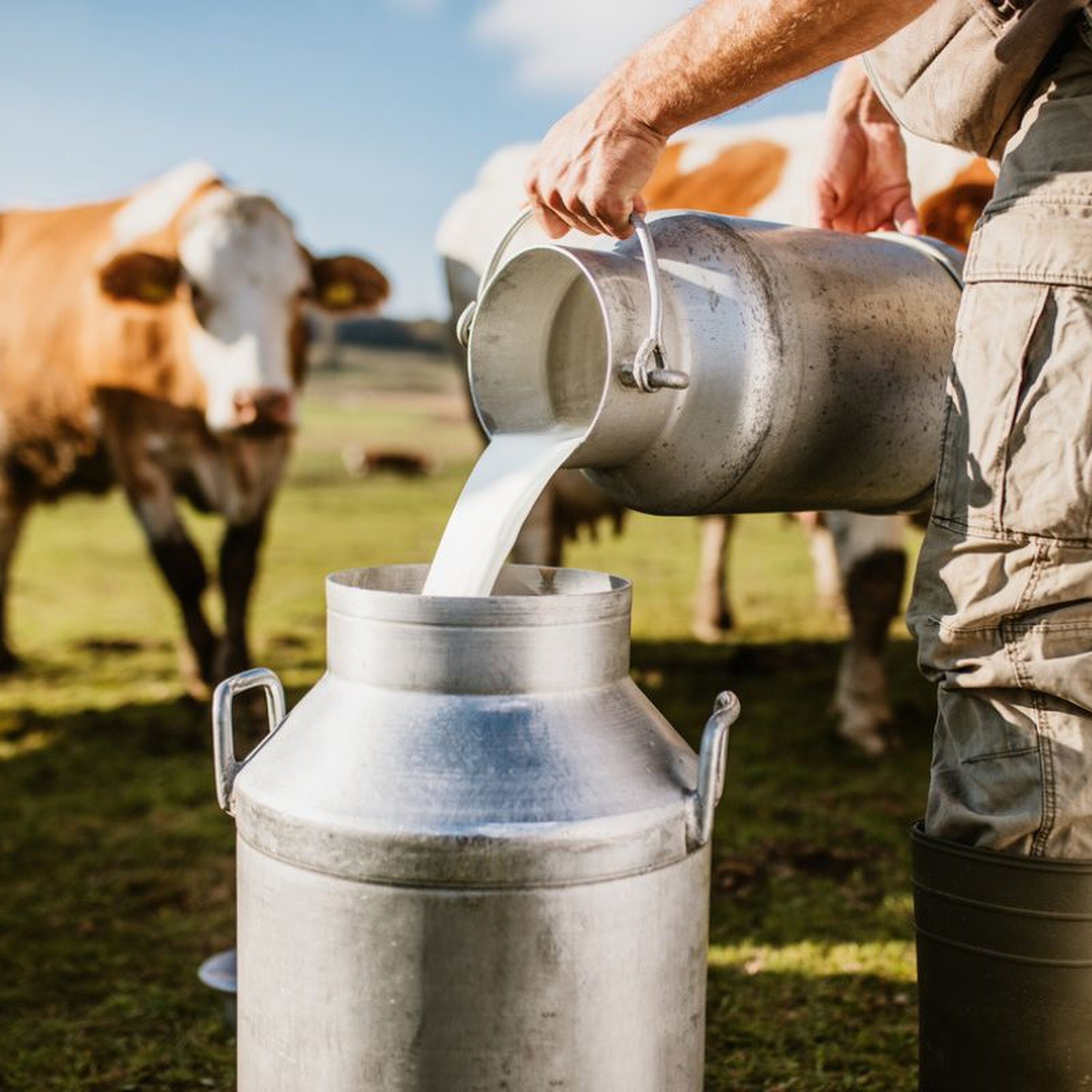 Dairy takeover, now factory to close episode artwork