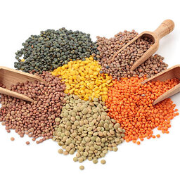 India drops tariffs on lentils