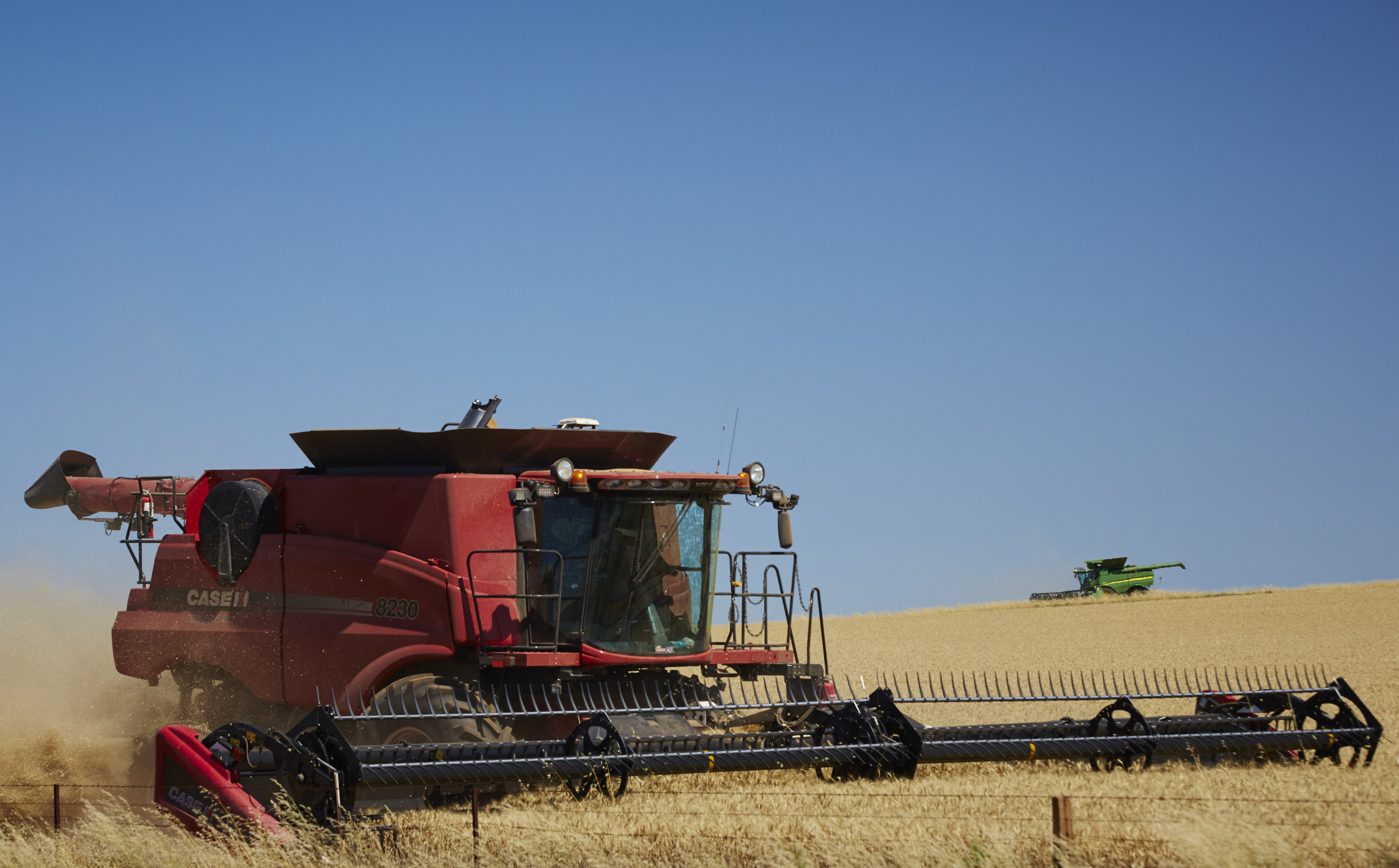 Border fears for grain growers