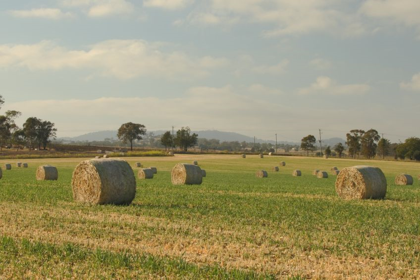 Farm Deposits Scheme