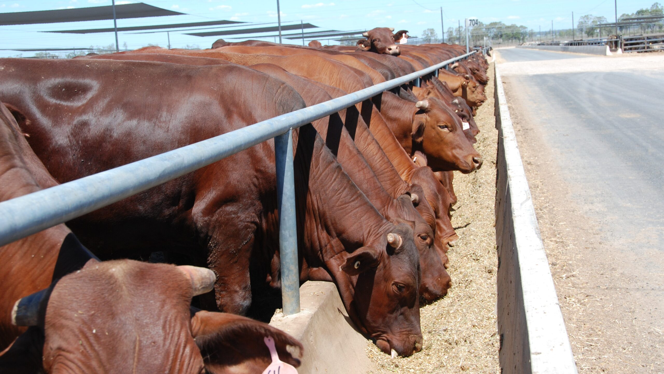 Upgraded facility to help solve feeding industry challenges