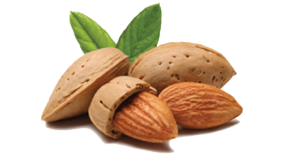 Select Harvests nuts out brand changes