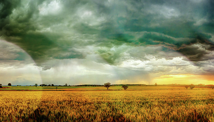 National Rural News - Friday, August 23, 2024