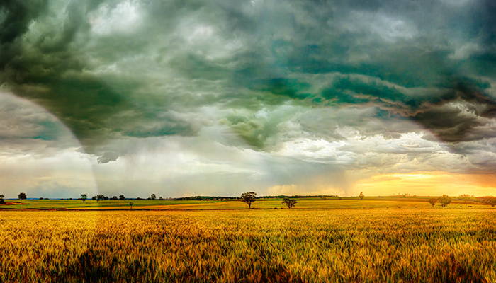 National Rural News - May 29