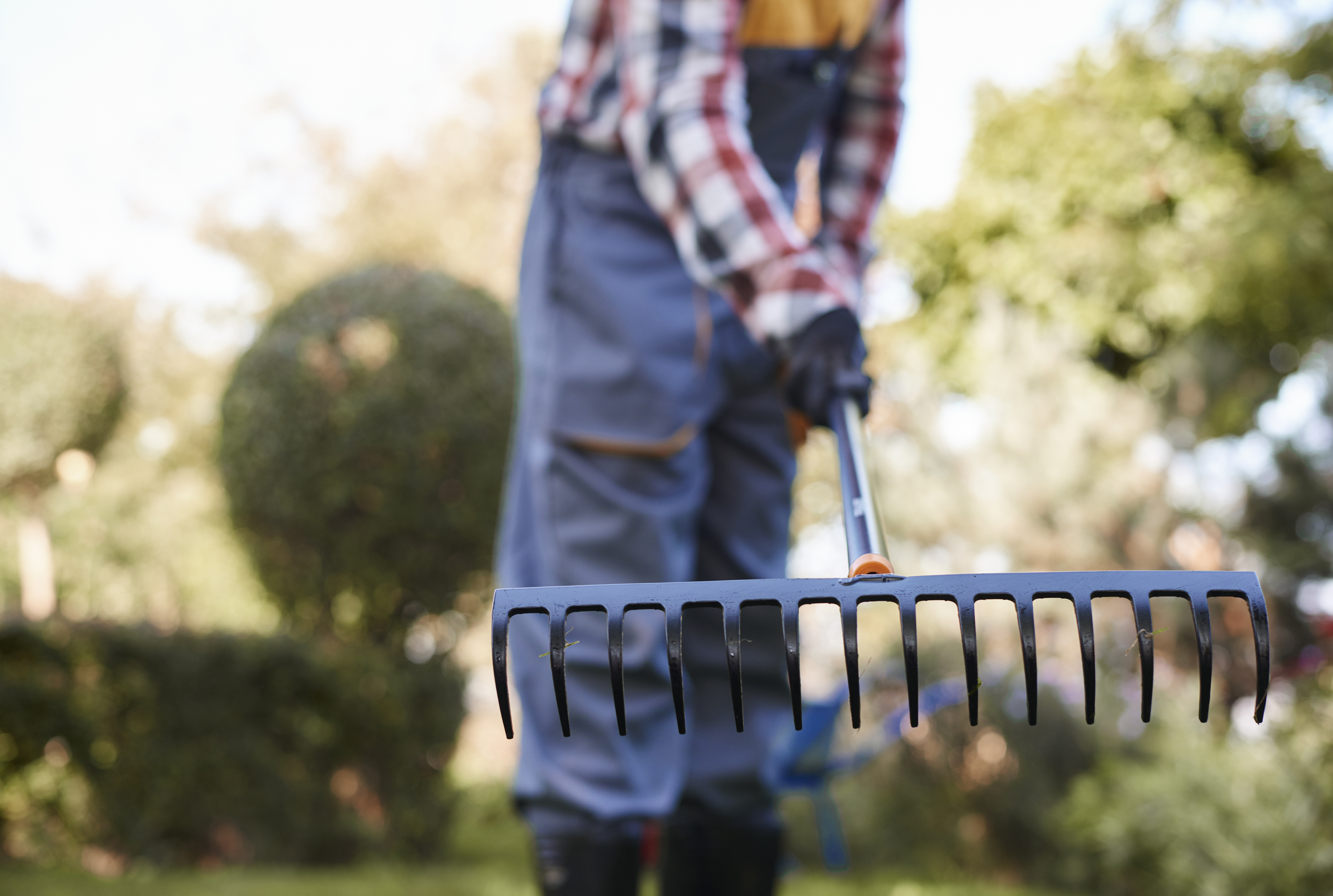 Horticulture output holds despite fewer workers