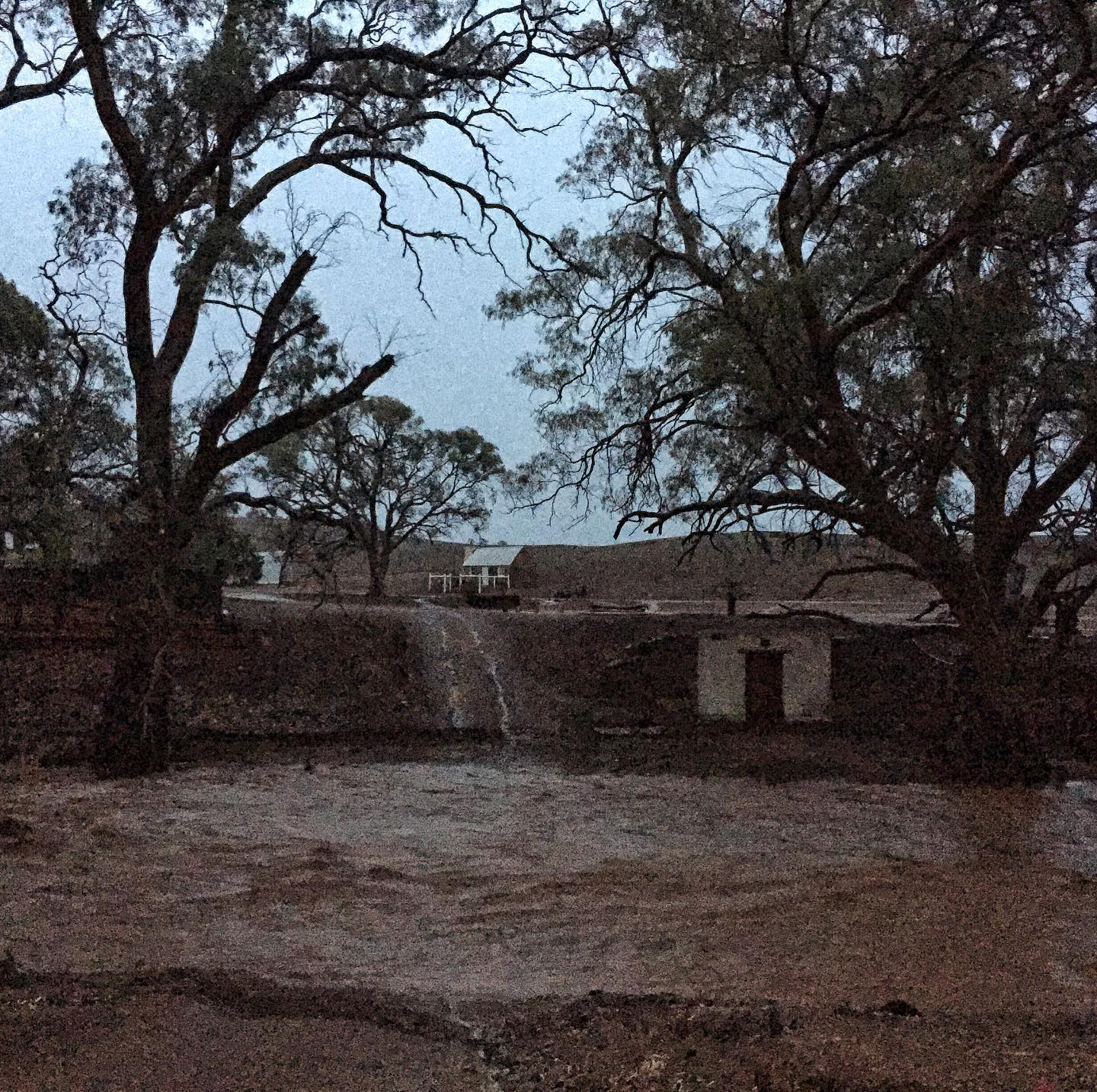 Farmers contend with more rainfall
