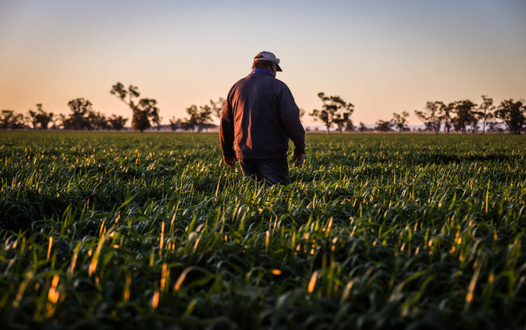 Mixed farmer sentiments heading into the new year