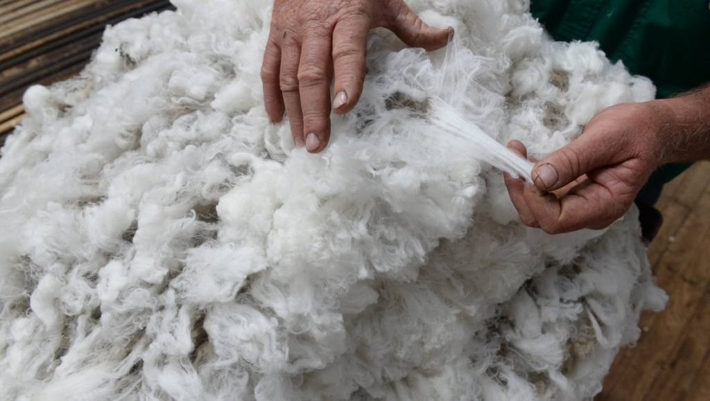 New Program to Boost Wool Production