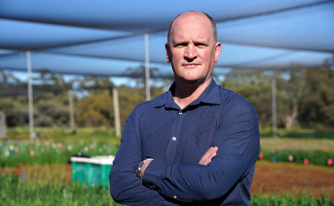 New grain group optimistic about future