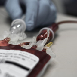 Blood Donor Leave Case Rejected