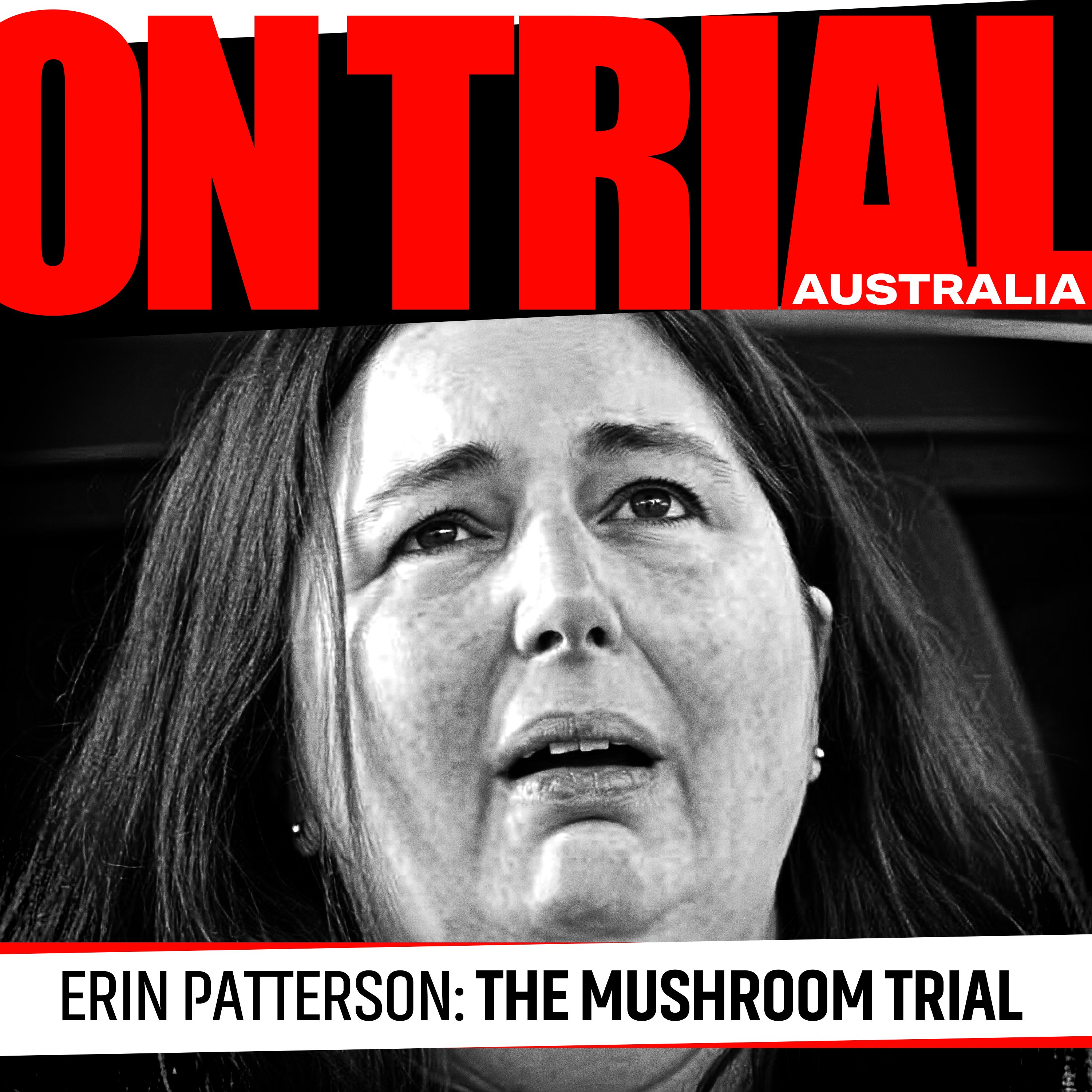 Erin Patterson's lies