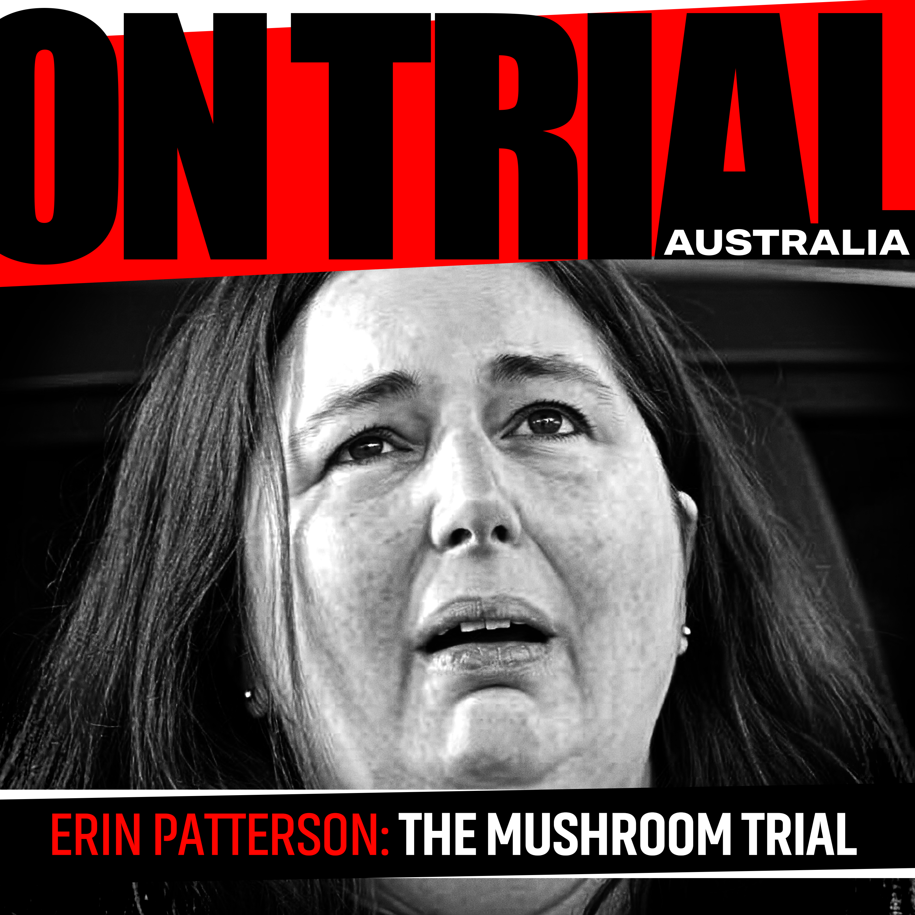 Erin Patterson loses appeal