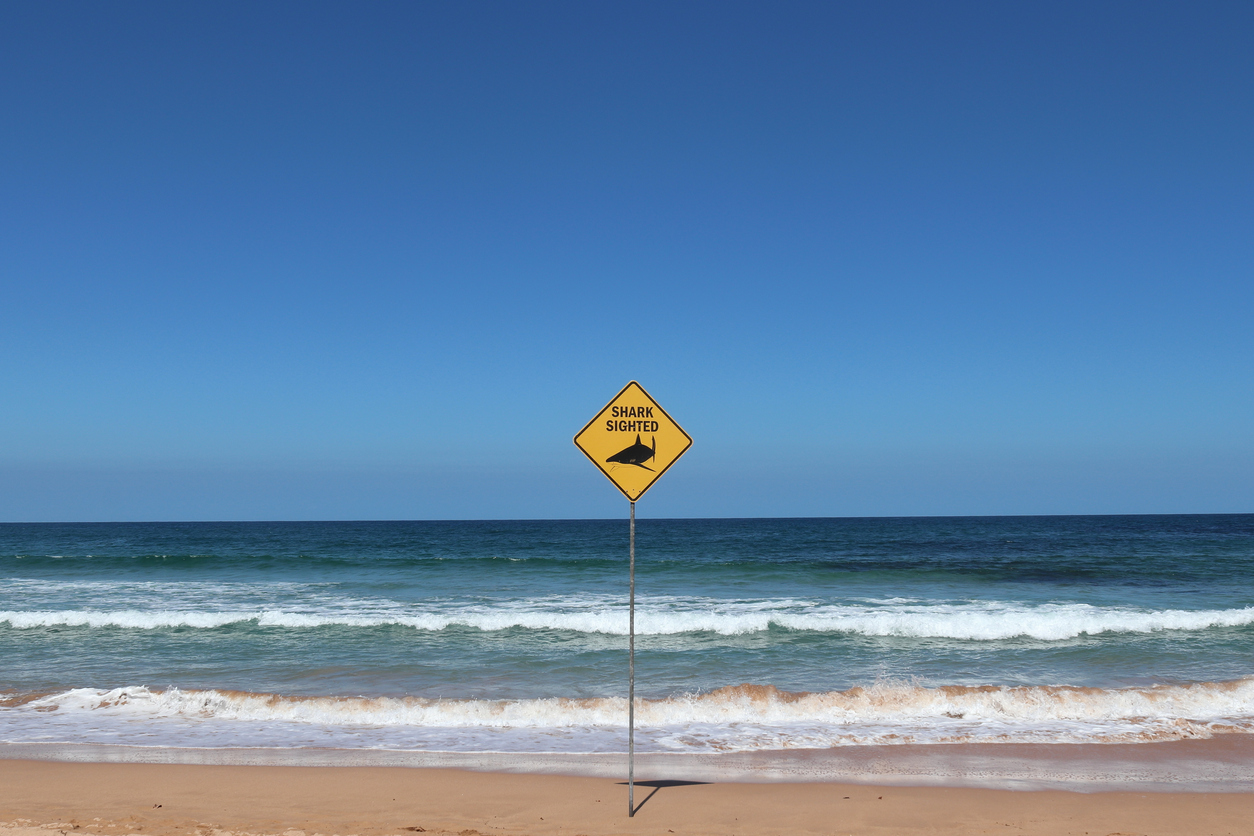 'Do we have a real policy in place?': Questions asked over beach safety following deadly shark attack