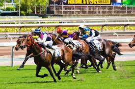 Mass slaughter of racehorses