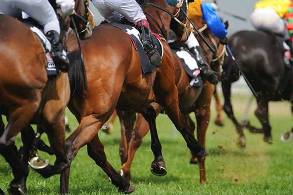 Concerns over Spring Racing ads