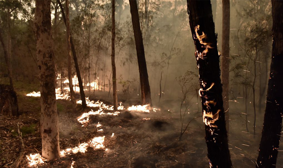 Murray Wilton: Bushfire Emergency Special