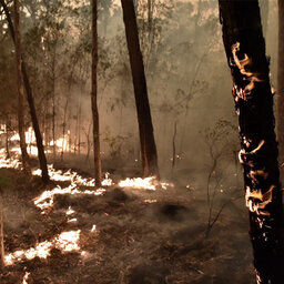 Gladys Berejiklian addresses bushfire conditions