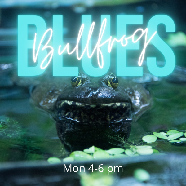 Bullfrog Blues On Demand - 2025-7-21