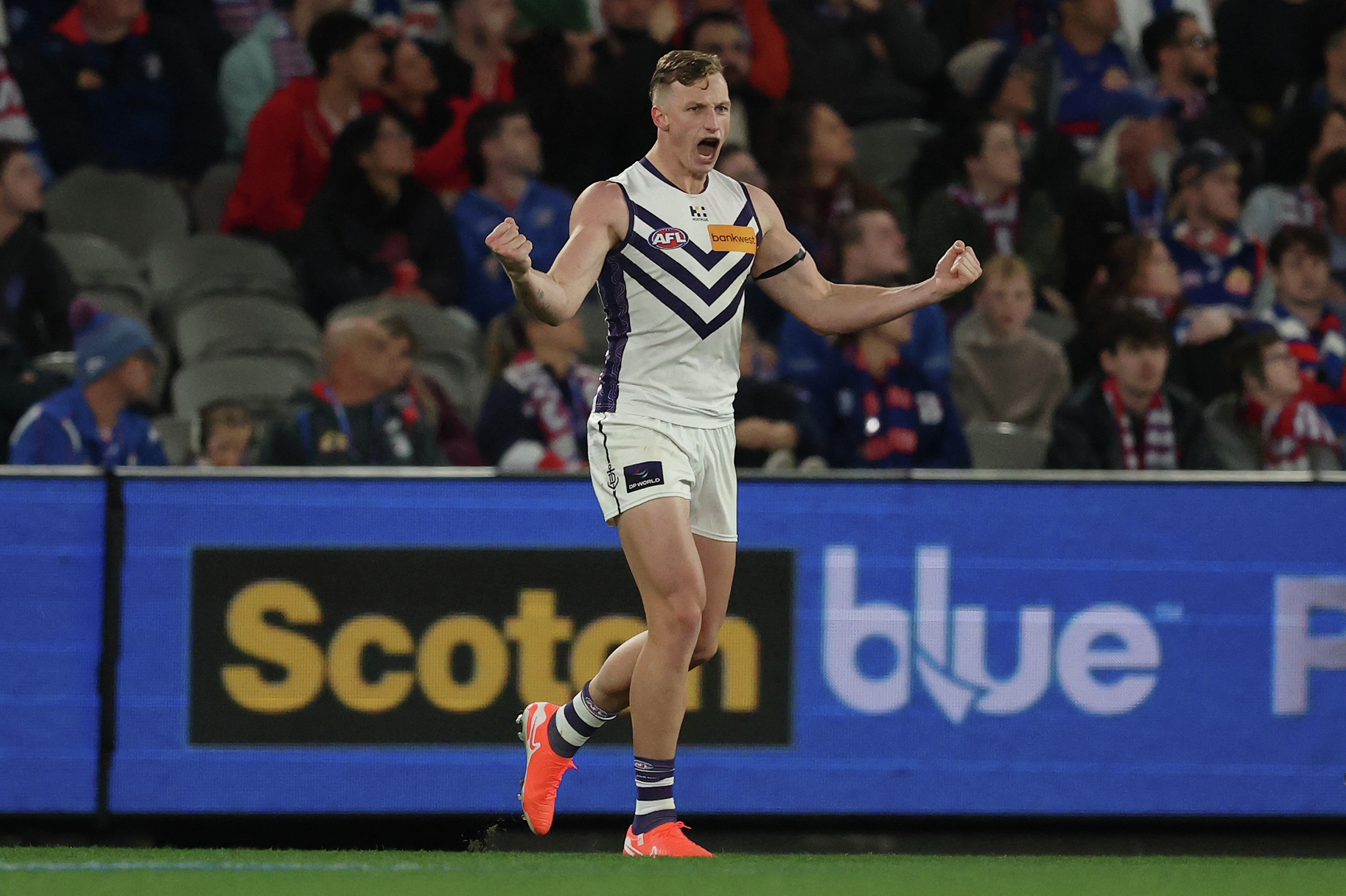 Fremantle Dockers Football Club