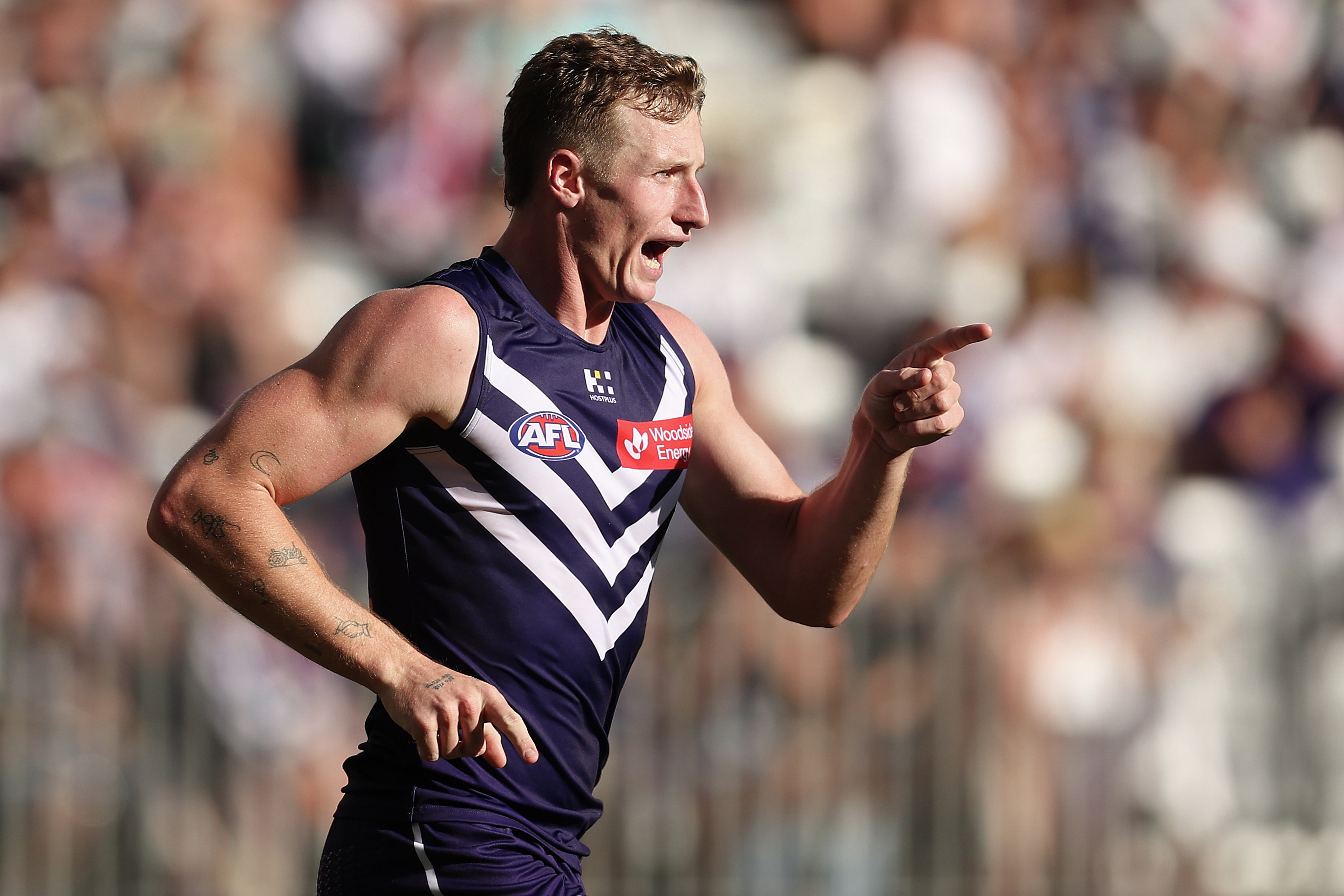 Fremantle Dockers Football Club