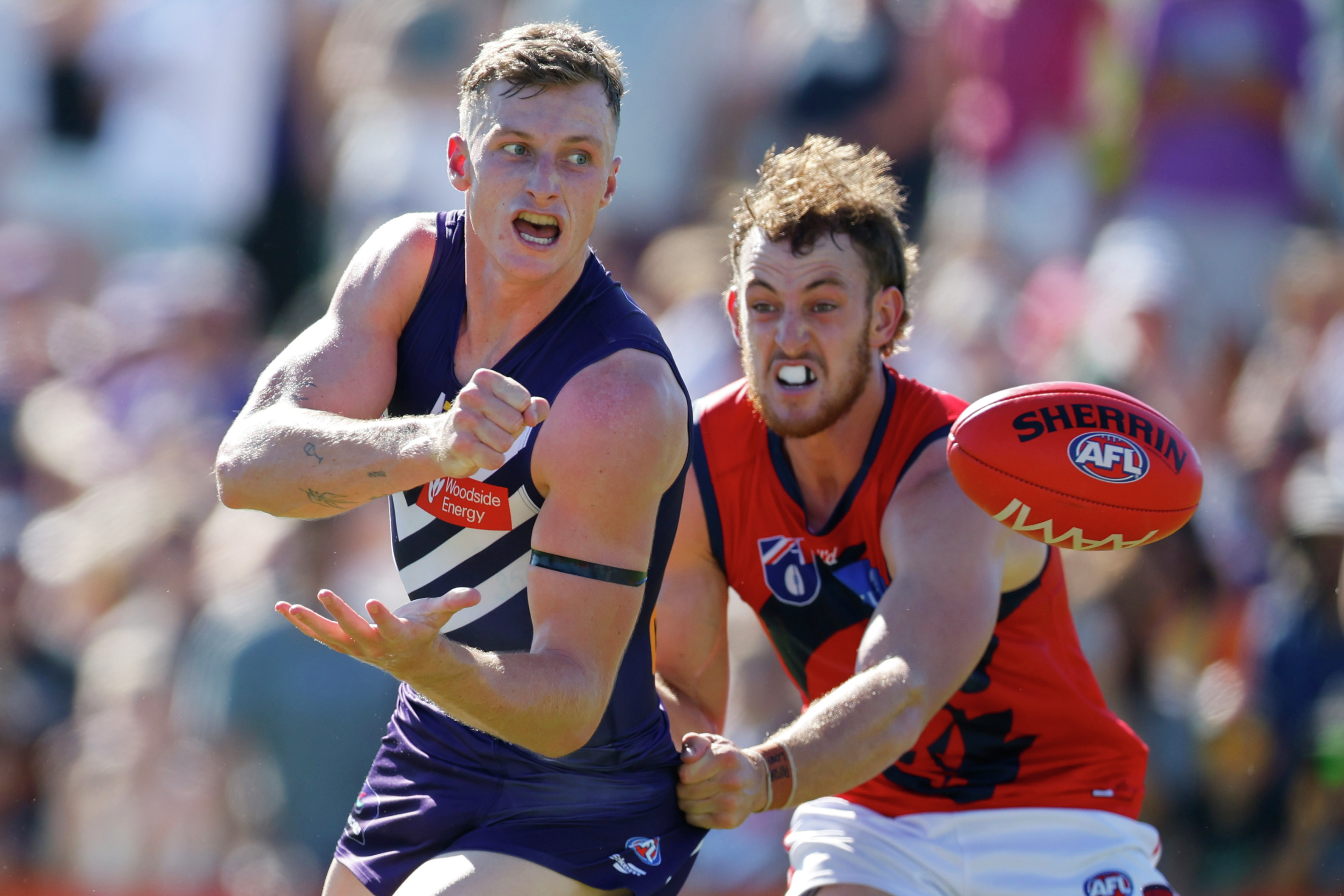 Fremantle Dockers Football Club
