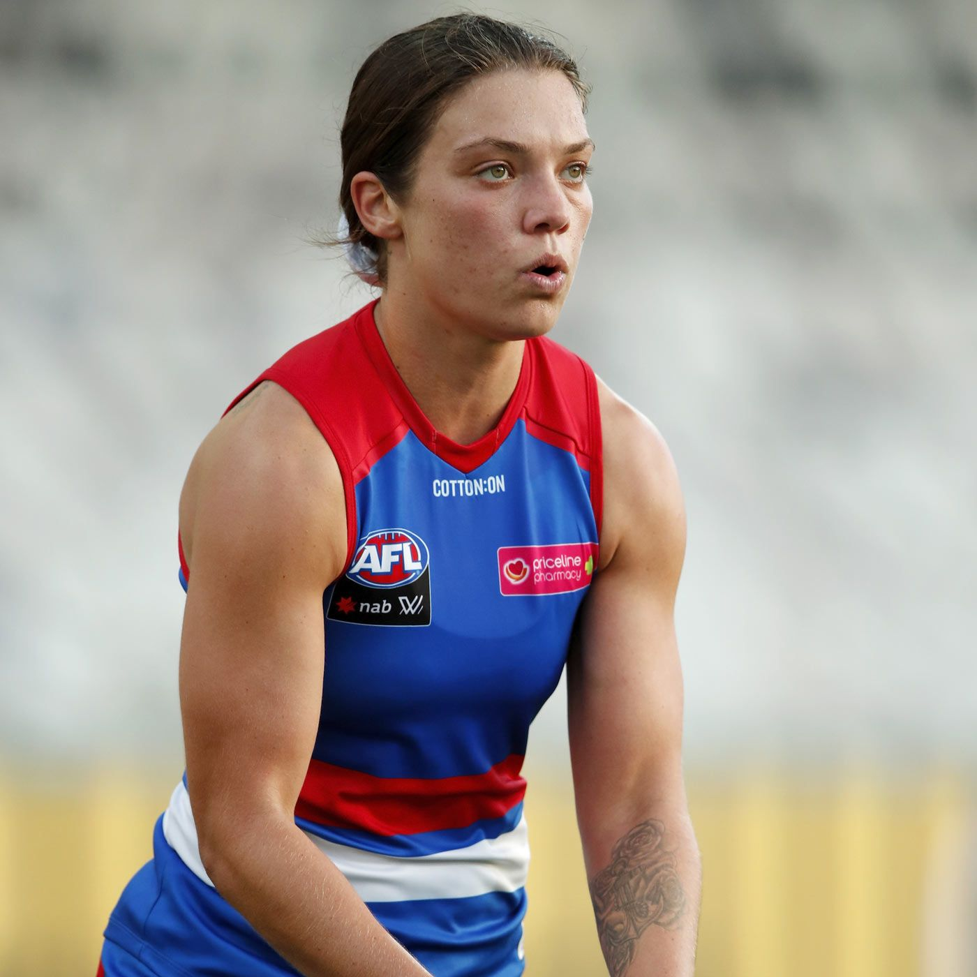 Western Bulldogs Media