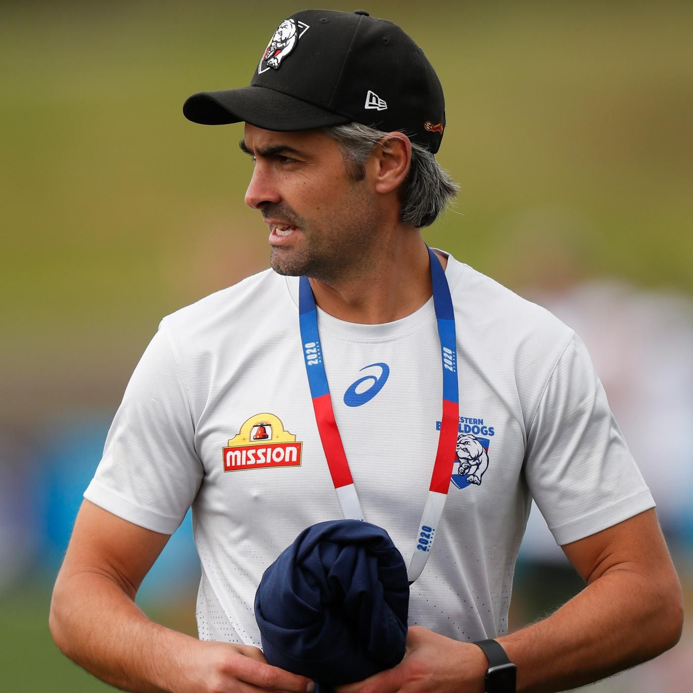 Western Bulldogs Media