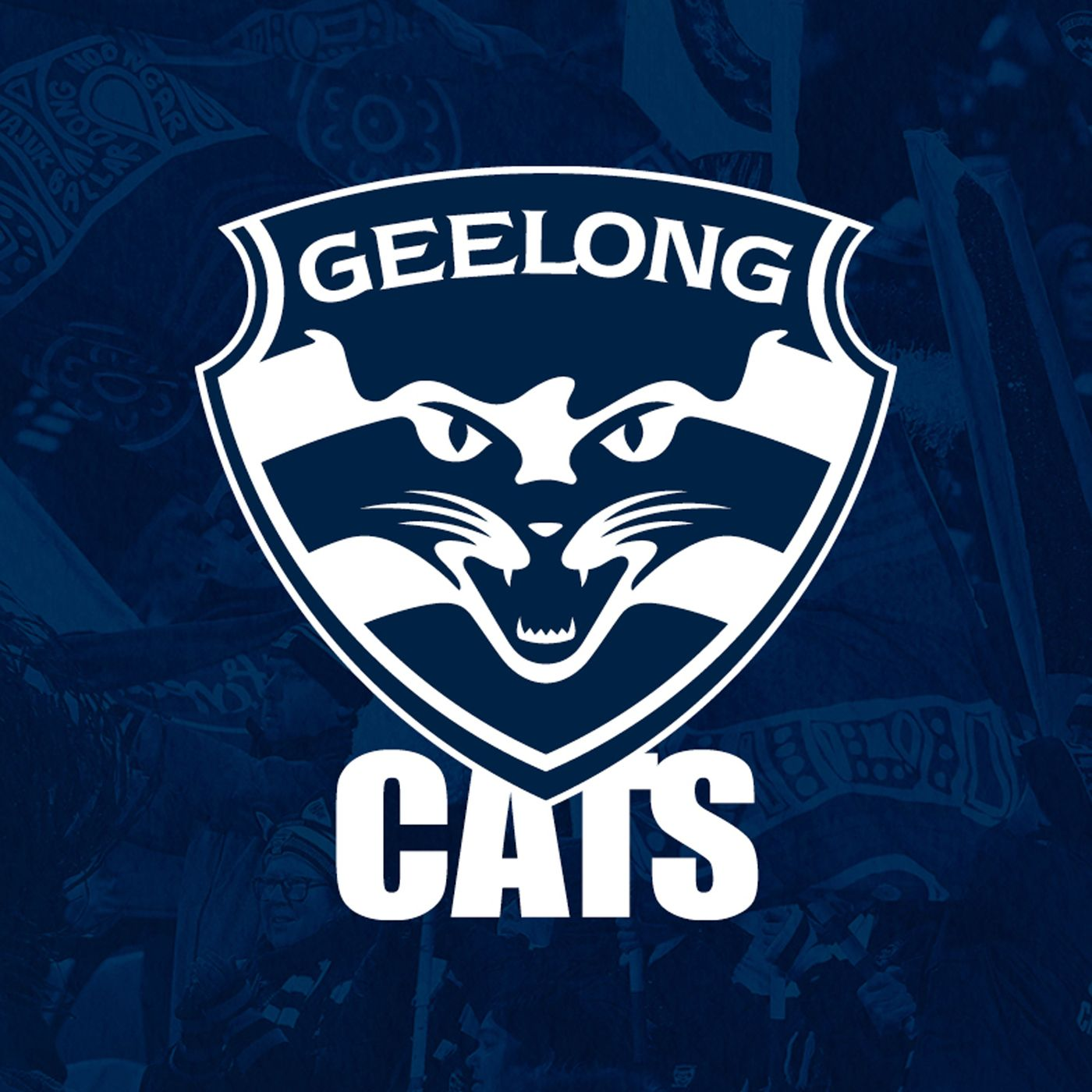 Cameron Ling with former Geelong Assistant Coach Brendan McCartney - Podcast Special