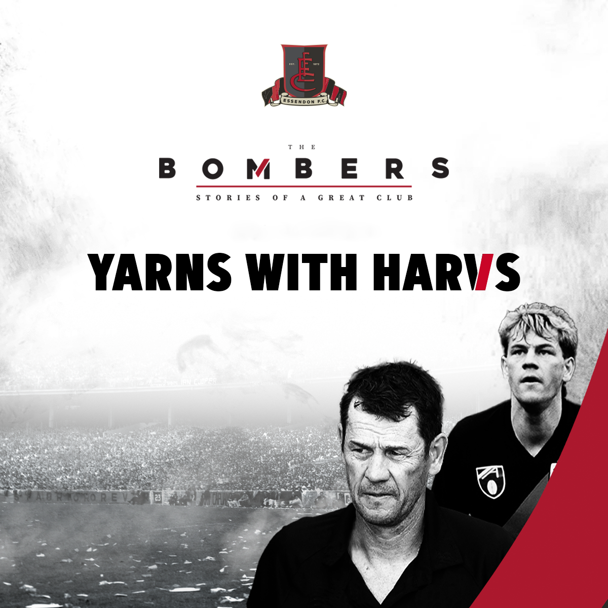 Yarns with Harvs: Matthew Lloyd and Ben Rutten