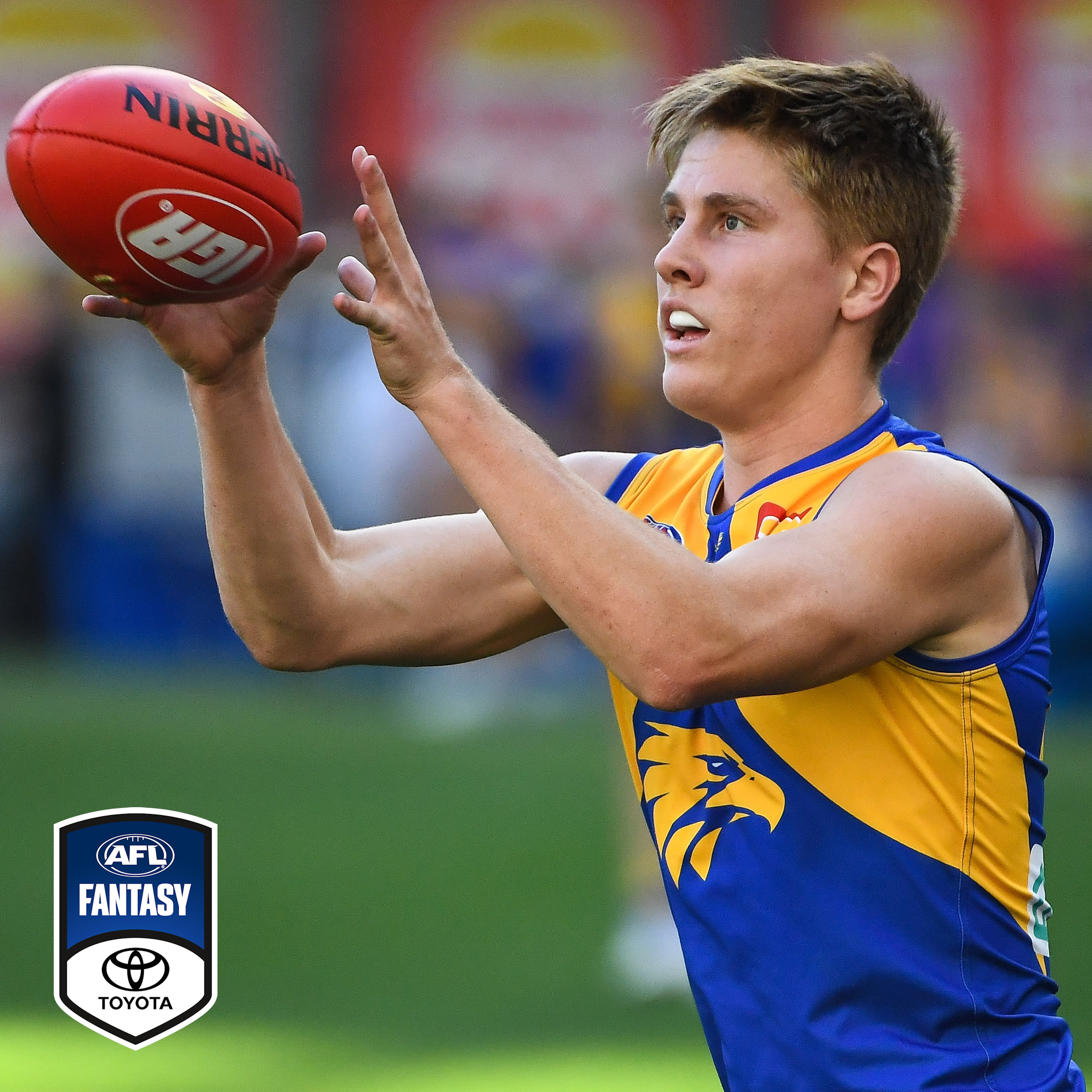 AFL Fantasy with The Traders