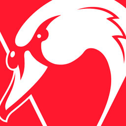 Sydney Swans AFL Fantasy preview 2022