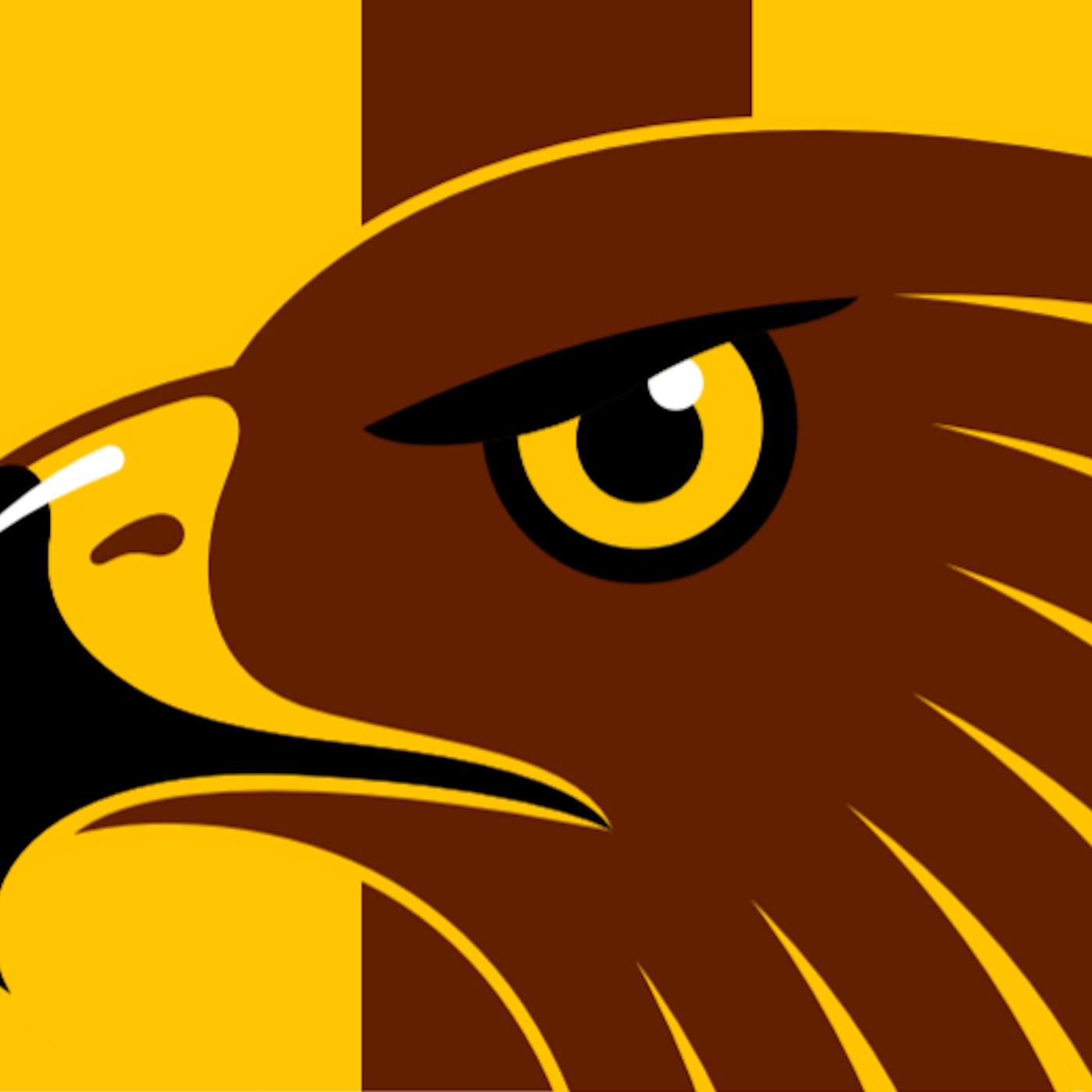 Hawthorn AFL Fantasy preview 2023