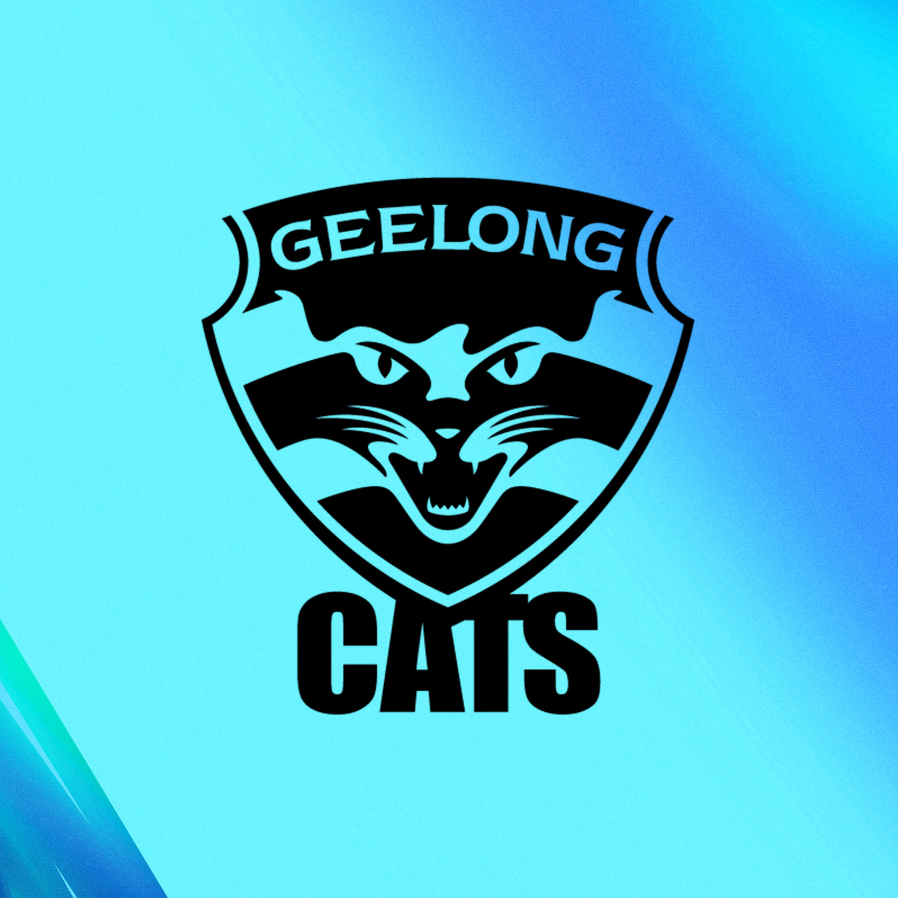 Geelong 2025 AFL Fantasy preview