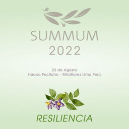 Premios Summum 2022: Este lunes 22 de agosto se celebra el mundo de la gastronomía peruana