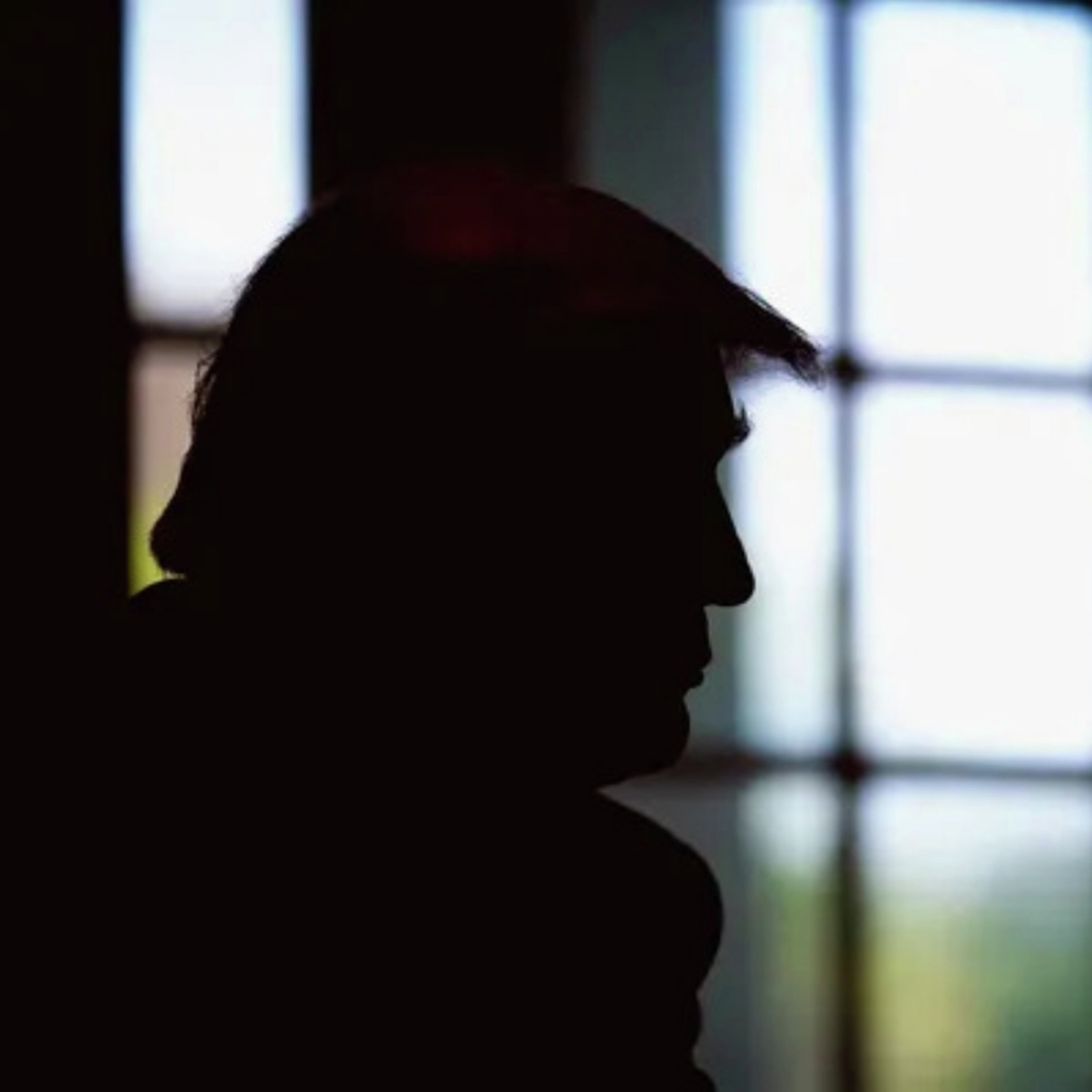 Comparar Trump a Hitler tem um fundo de verdade ou não tem ponta por onde se lhe pegue? O ensaio de Francisco Louçã