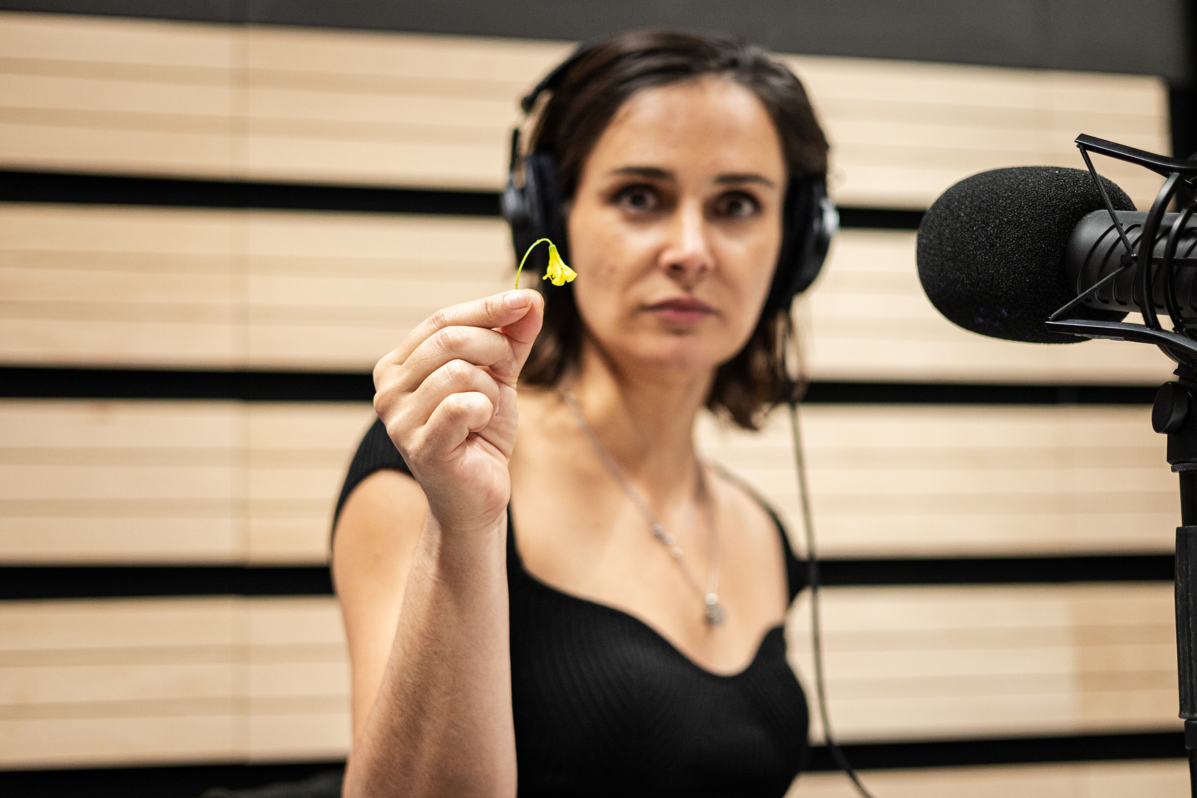 Geração 80