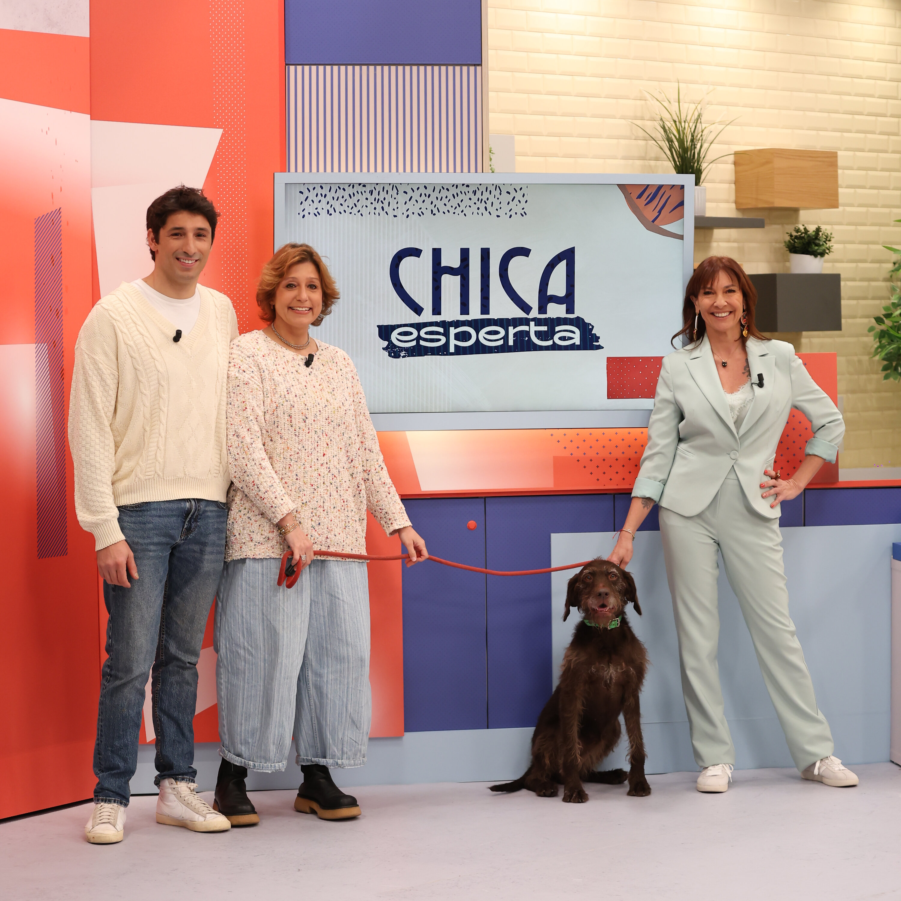 "Os cães vivem o presente. A não ser que tenham tido uma experiência muito traumática, eles estão disponíveis para aprender"