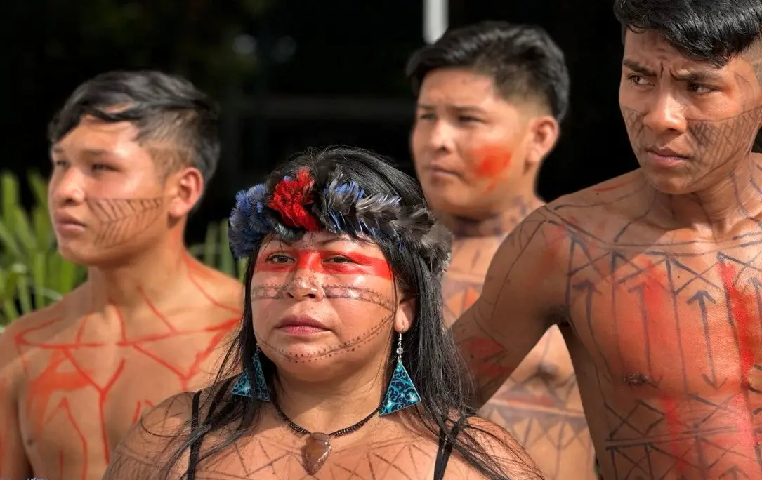 “Se retirarmos os ativistas, agricultores e indígenas que defendem os territórios brasileiros, eles ficam mais vulneráveis a interesses capazes de tudo, até de matar”