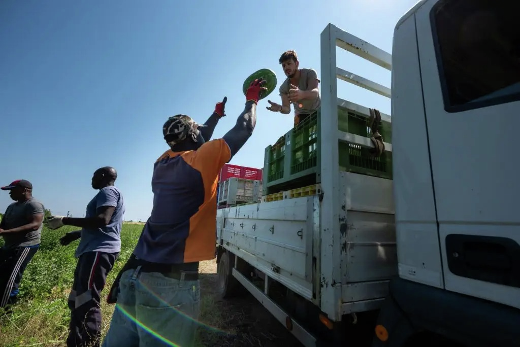 Itália “não funciona sem imigrantes” e o Governo de extrema-direita de Meloni “devia ter percebido isto há algum tempo”